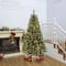 7ft. Pre-Lit Celebration Pine Artificial Christmas Tree, Warm White Mini LED Lights by Ashland®